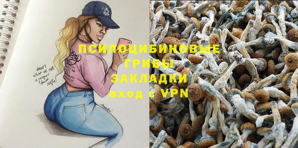 соль ск Алексин