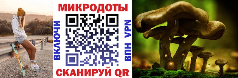 сайты даркнета официальный сайт  Игра  Псилоцибиновые грибы Psilocybe 